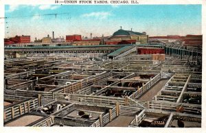 Chicago, Illinois - The View at the Union Stock Yards - in 1935