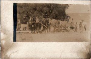 RPPC Six Horse Team Drawn Wagon Farmers c1908 Postcard F26