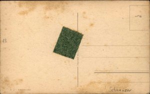 Bedlington Terrier Dog Old Postcard 