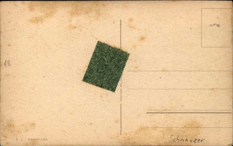 Bedlington Terrier Dog Old Postcard 