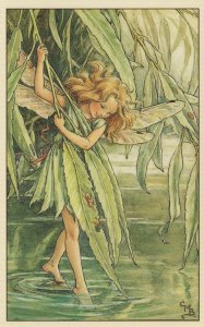 Willow Flower Fairy WW2 Book Painting Stunning Postcard