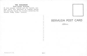 The Aquarium Flatts Bridge Bermuda Postcard