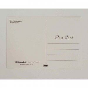 Cherry Trees Azaleas Winterthur Museum Henry Francis Du Pont Delaware Postcard