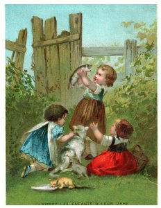 1880's Set of 4 Fab Lovely Kids Playing Cat Kitten Dog Victorian Trade Cards *M