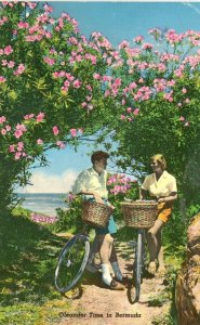 Postcard View of Blooming Oleanders in Bermuda.           N7