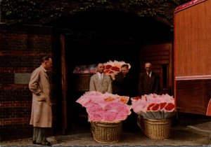 Netherlands Aalsmeer Flower Centre Of Europe Flower Vendors