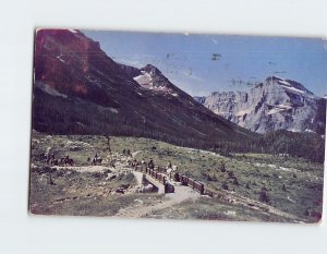 Postcard Trail Above Many Glaciers Glacier National Park Montana USA