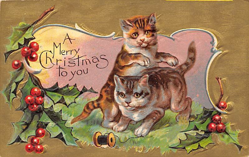 Cat Cats, Kitten 1908 