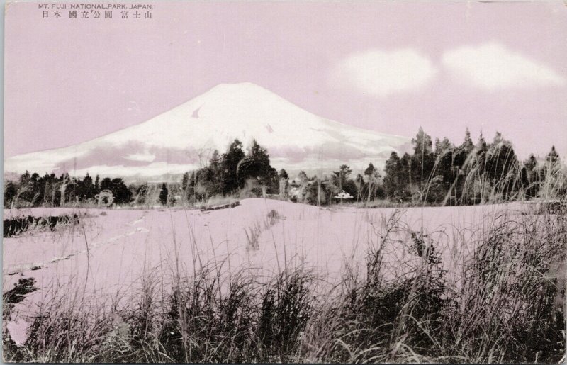 Mt Fuji National Park Japan Pink Unused Postcard G70