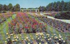 Reinisch Rose Garden Topeka Kansas