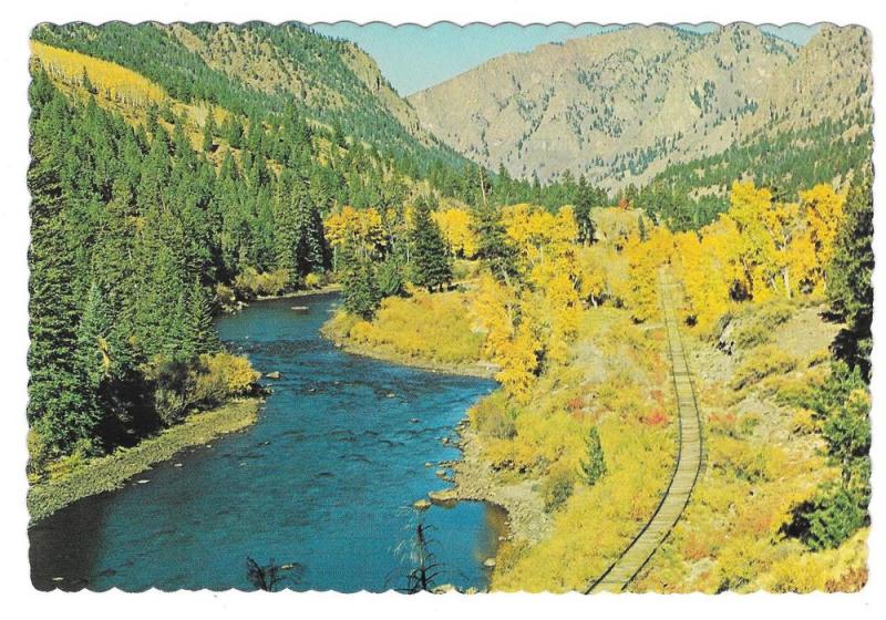 CO Rio Grande River Between South Fork & Creede 2 Postcards