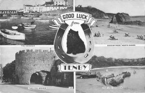 BR95856 tenby cat   wales