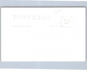 K42/ Jackson Wyoming RPPC Postcard c1930s Birdseye Mountains Homes 105