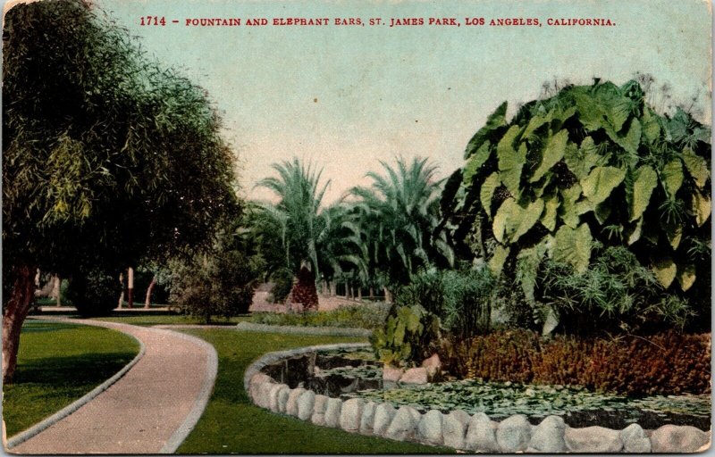 Fountain Elephany Ears St James Park Los Angeles CA California Antique Postcard 