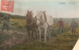 Two Labour Horses Old vintage Fremnch postcard