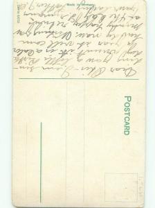 Divided-Back BEAUTIFUL FLOWERS SCENE Great Postcard AA2575