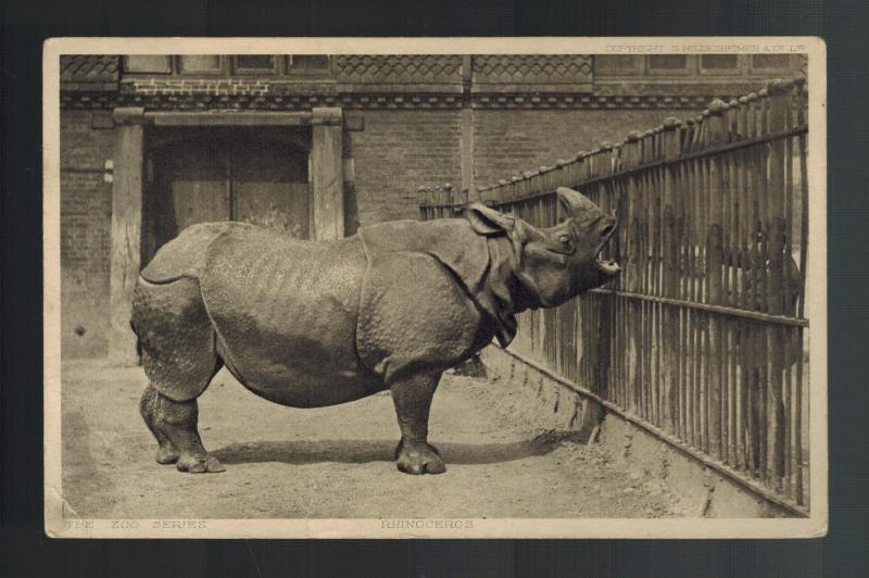 Mint PPC Photo Postcard Rhinoceros Zoo london County Council Reward Card Rhino