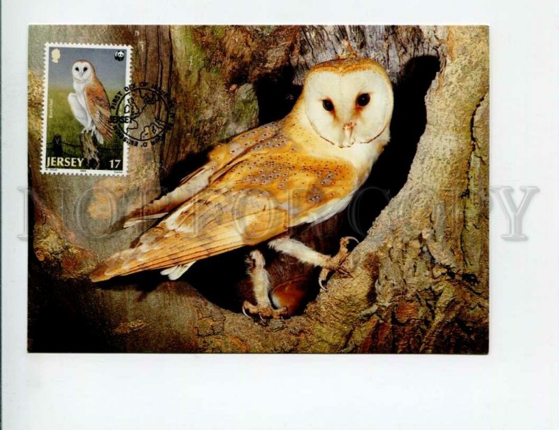 3132591 WWF JERSEY Fauna old 4 postcards MAXIMUM CARD 1989 year