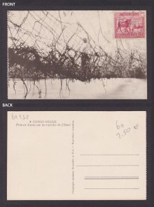 Postcard, BELGIAN CONGO, Liana bridge over the Ituri rapids