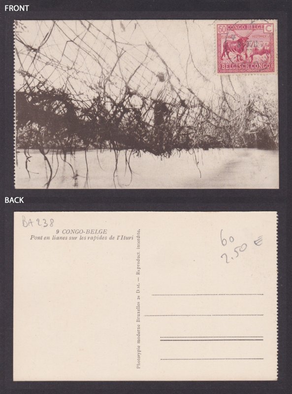 Postcard, BELGIAN CONGO, Liana bridge over the Ituri rapids