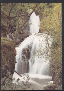 Scotland Postcard - The Buchan Burn, Glen Trool, Kirkcudbrightshire  RR1305