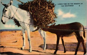 Vtg 1930s Lunch Time on the Desert of Ole Southwest Unused Linen Postcard