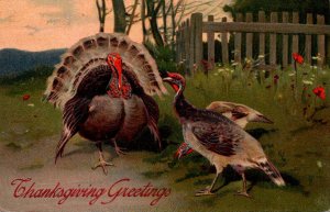 Thanksgiving Greetings With Turkey 1909