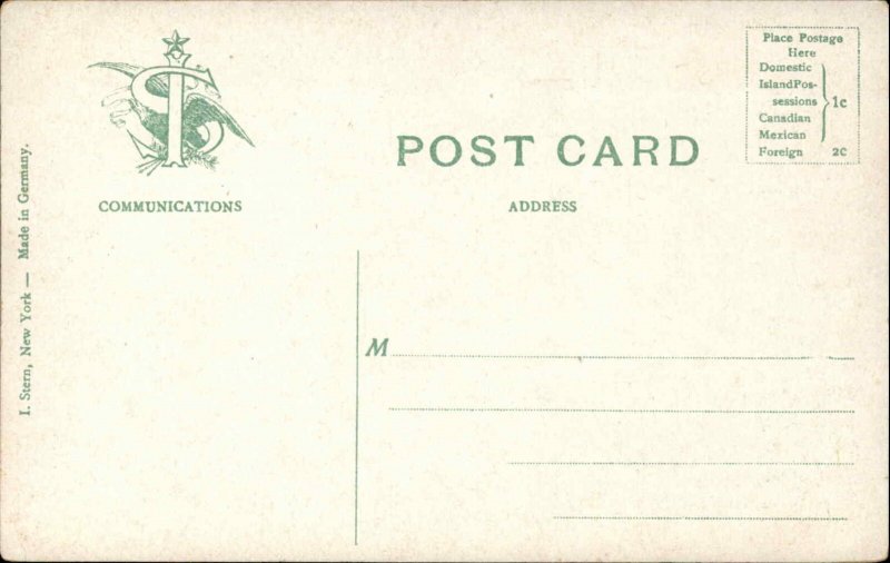 Ormond Florida FL Hotel 1900s-1910s Postcard