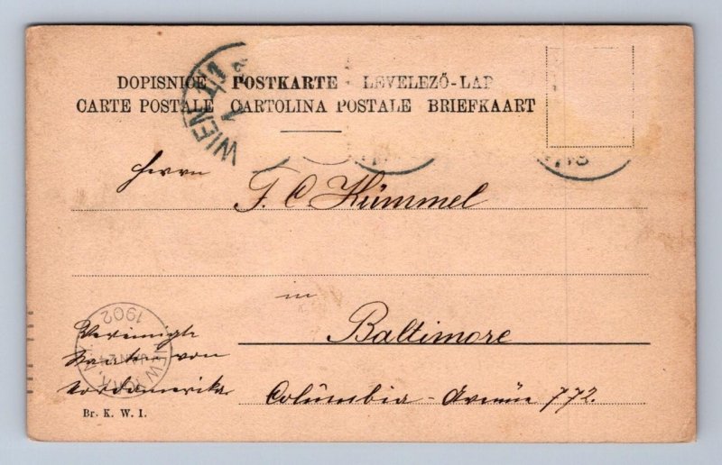 BURGMUSIK WIENER TYPEN VIENNA AUSTRIA BALTIMORE MARYLAND POSTCARD EXCHANGE 1902