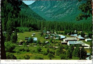 Yellow Pine, ID Idaho  HOME VIEWS  Bird's Eye View  VALLEY COUNTY  4X6 Postcard