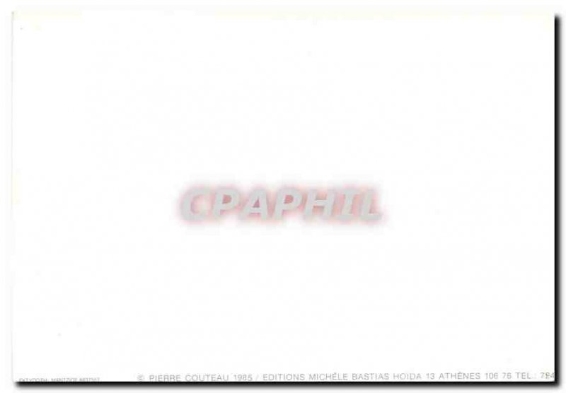 Modern Postcard Donkey Mule