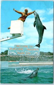Postcard - Seafloor Show, Seafloor Aquarium - Nassau, Bahamas
