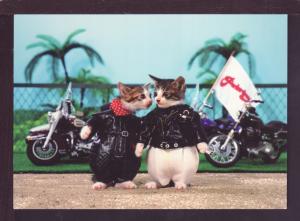 Motorcycle Cats Dressed Cat Post Card 2770