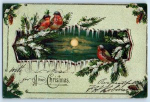 1907 Christmas Song Birds Pinecone Winter Full Moon Embossed Antique Postcard