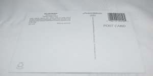 Killer Whale Oregon Coast Postcard Smith-Western Inc. SPC-0401