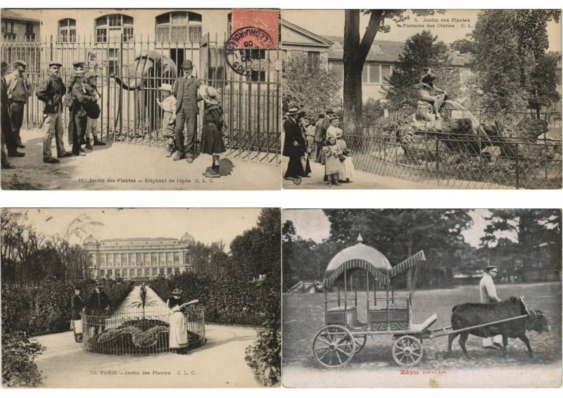 ZOO JARDIN DE PLANTES 200 Vintage ANIMAL Postcards pre-1930 (L4066)