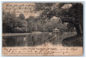 Baltimore Maryland Postcard Boat Lake Druid Hill Park Canoeing Boat 1905 Antique