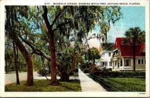 Vtg Daytona Beach FL Magnolia Avenue Witch Tree Spanish Moss 1920s Postcard