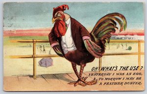 1962 Chicken Wearing Man's Suit Oh! Whats The Issue? Anthropomorphic Postcard