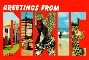 Greetings From Dixie With Cotton Tobacco Surf Fishing and More