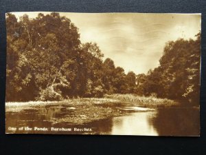 Buckinghamshire BURNHAM BEECHES One of the ponds c1931 RP Postcard