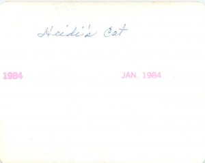 1984 Snap Shot Long Hair Orange Tabby Cat With Blocks Spelling His Name Frisky