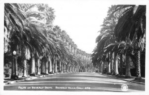 RPPC Palm Trees BEVERLY HILLS, CA Beverly Drive Los Angeles c1940s Vintage Photo