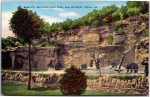 Postcard TX San Antonio Bear Pit Brackenridge Park