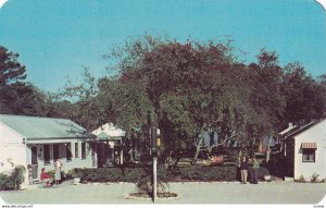 MELBOURNE, Florida,1950-1960s; River Oak Hotel Court