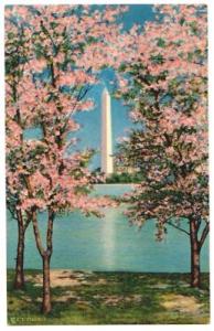WASHINGTON D.C., MONUMENT & CHERRY BLOSSOM TIME -LINEN-