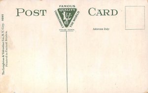 Potato digging, Florida, USA  