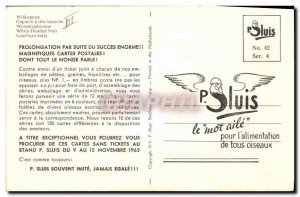 Old Postcard Capuchin has white head