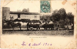 CPA Auvergne - Le labourage (72840)