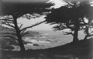 RPPC 17 MILE DRIVE Cypress Trees MONTEREY, CA Pillsbury c1910s Vintage Postcard